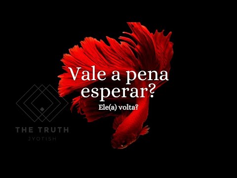 Vídeo: Vale A Pena Devolver Um Ente Querido?