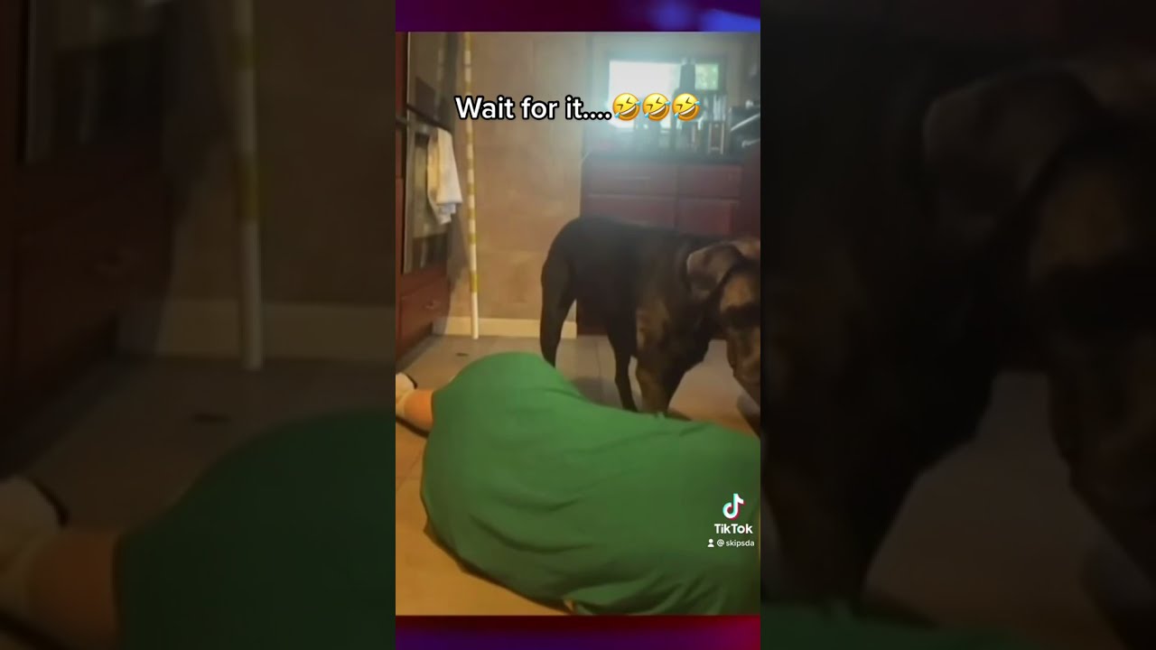 I can't stop laughing  🤪✌️ 🤪✌️ 