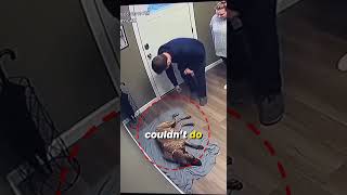 This Pit Bull Had 72 Hours