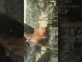 block #camping #solocamping #solo #campingvideo