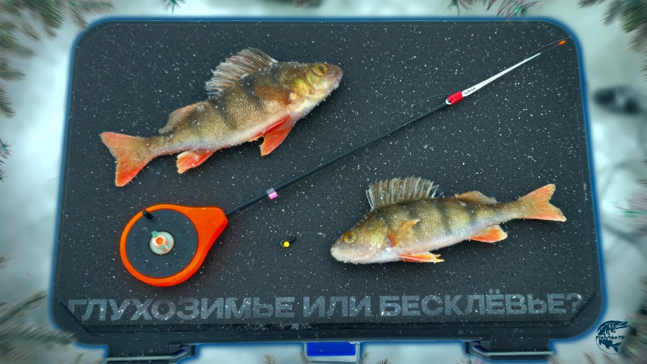 РЫБАЛКА С МОРМЫШКОЙ В РАЗГАР ГЛУХОЗИМЬЯ! ЗИМНЯЯ РЫБАЛКА 2026! ❄️