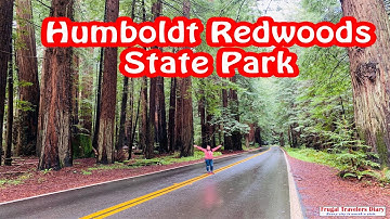 DISCOVERING GIANTS TREES ON EARTH | HUMBOLDT REDWOODS STATE PARK | HUMBOLDT COUNTRY