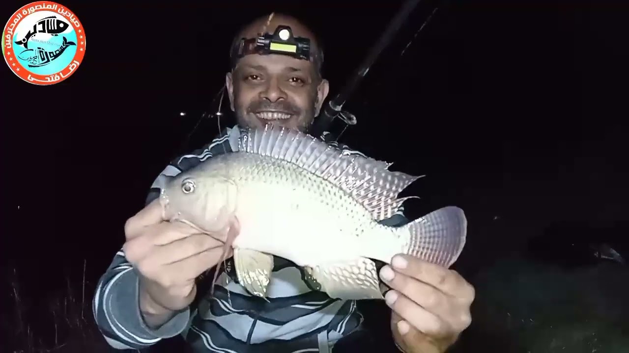 فاطمه النبويه اشتغلت ياه رجال بولط كبير ومباريك النوعين /2024/5/17