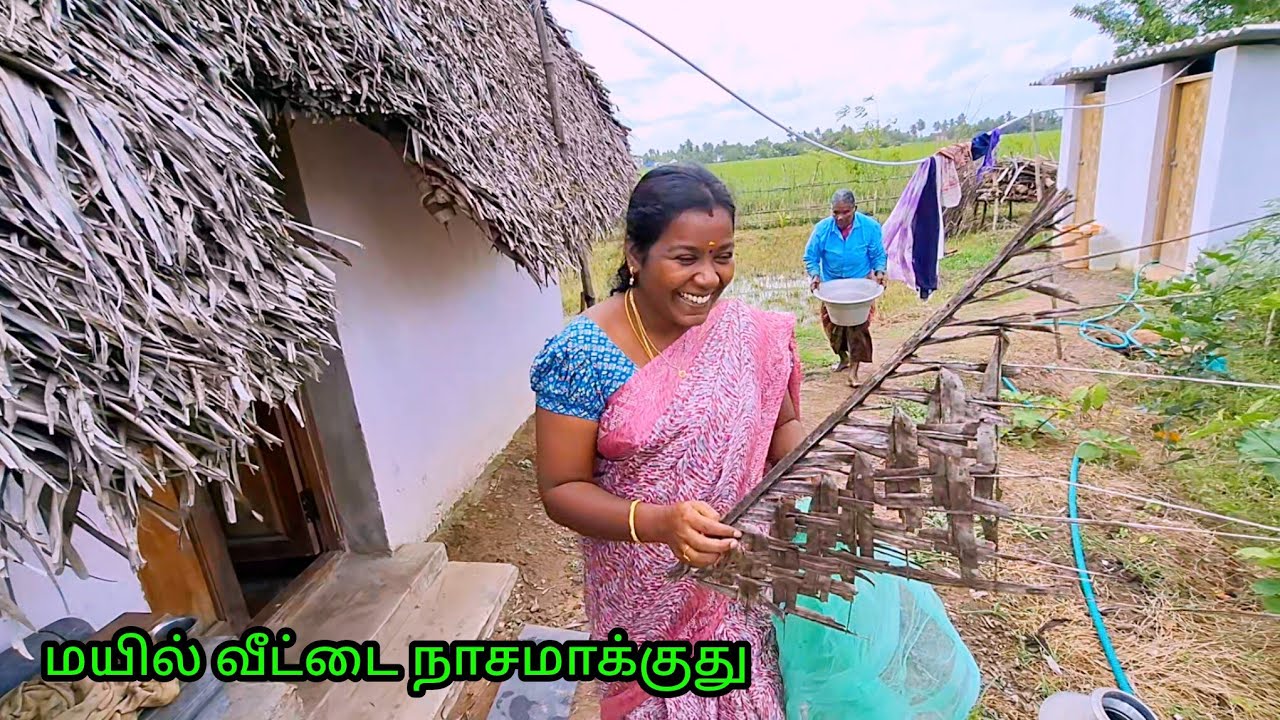 மாமியார் மருமகள் வேலைகள் @Amalavillagefood 