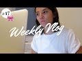 Unglcklich im beruf zukunft  weekly vlog 47  ankamaze