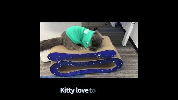 2-in-1 cat scratching board，resistant to grip and wear, good quality