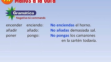 Video lesson- negative tu commands