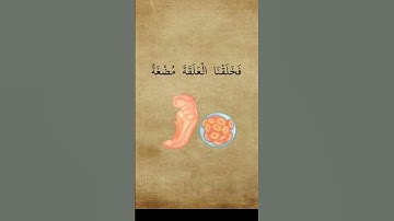 ما تيسّر من القرآن الكريم (ولقد خلقنا الانسان من سلالة من طين)  #ياسر_الدوسري #تلاوة_خاشعة