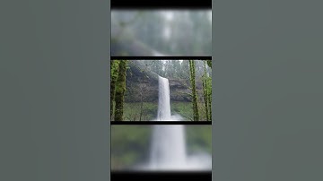 سورة الكافرون بصوت ماهر المعيقلي