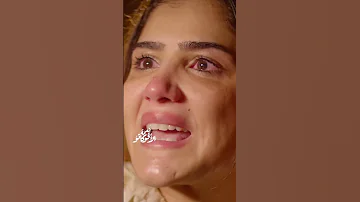نعمة الأفوكاتو سارة مكاتب 