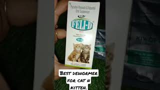 Best Dewormer For Kitten