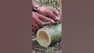 HOW TO Make a Rat Trap from bamboo