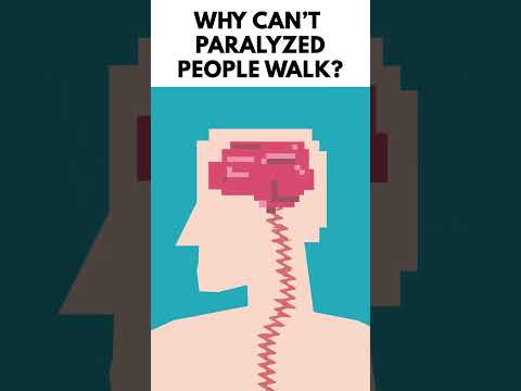 Video: Când ceva este paralizant?