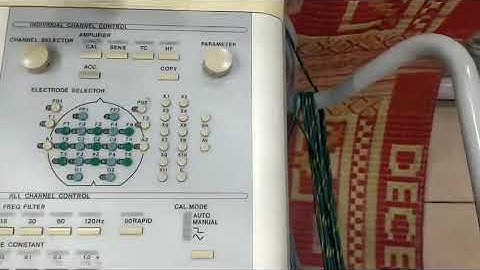 Neurofax EEG systems (Neurology)