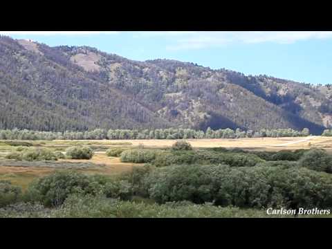 画像: 82 Year Old Woman Takes Corvette To 171 Miles Per Hour youtu.be