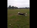 @#cricket catch@#practice