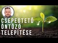 Csepegtető öntöző telepítése | kert TV