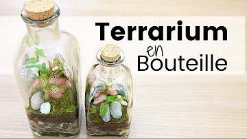 Comment faire un terrarium dans une bouteille en verre ?