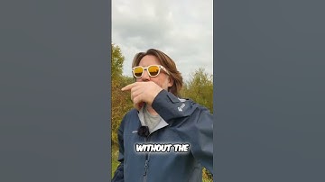 New Kindle Scribe Colorsoft: Why They