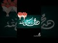 ياعين مالومج اذا هليتي   بشوق الحبيب لو دمه زخيتي