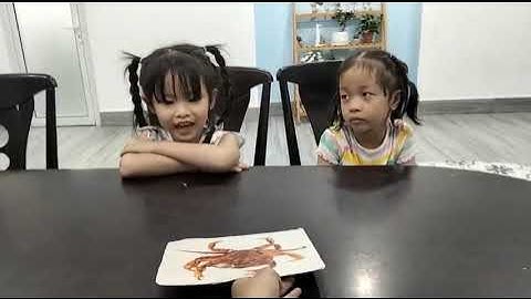 Tiếng Anh Giao Tiếp Phan Thiết: Nancy and Vani practice talking about Sea Animals