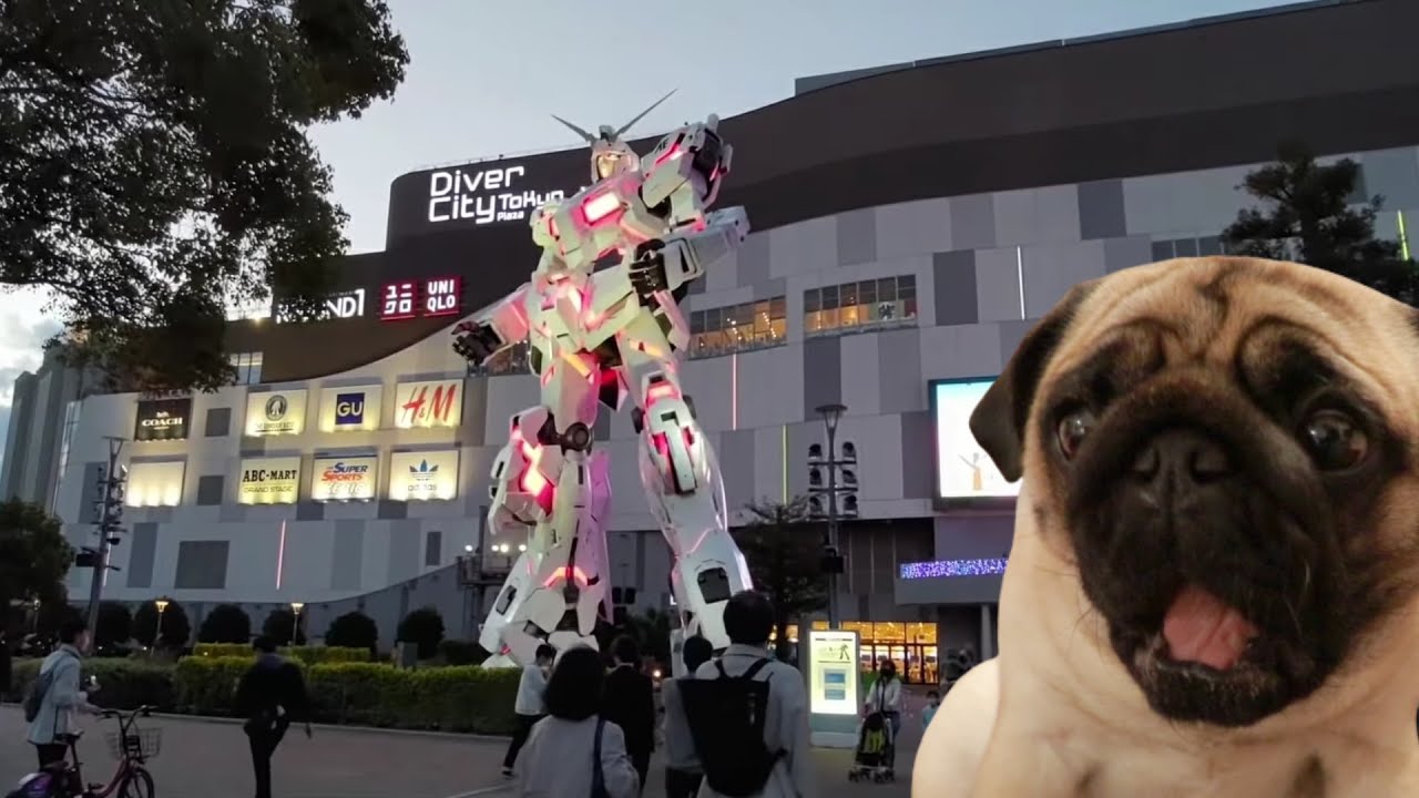 Мой мопс вышел на прогулку в Одайбе, Токио (русские субтитры)