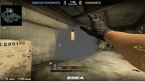 1v5 Clutch w/ AK - ESEA