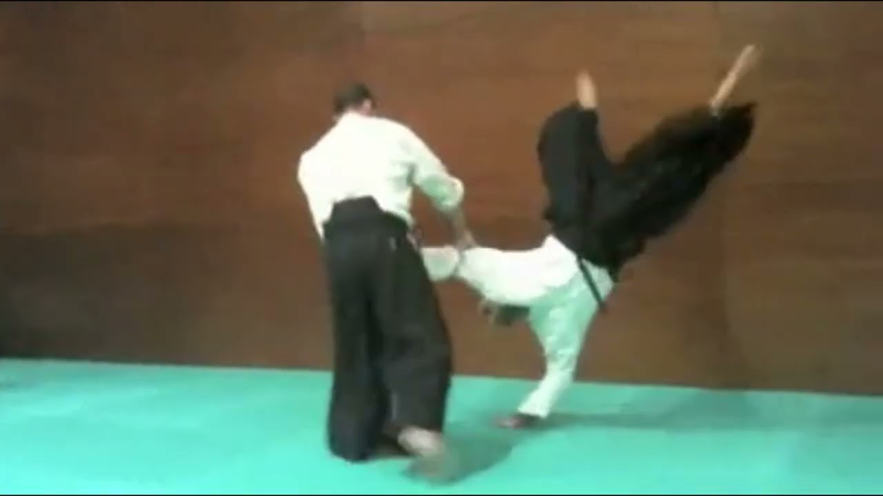 Exhibición de Aikido en la Semana Cultural de Japón. Valencia, 19/11/2011