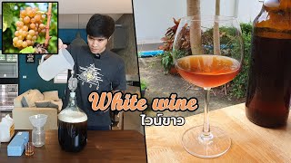 ทำไวน์ขาวจากน้ำองุ่น Muscat (สายพันธุ์ที่เหมาะใช้ทำไวน์)  How to make White wine easy way