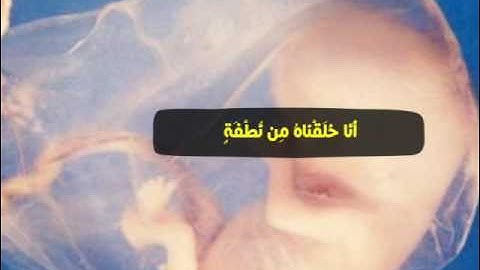 أواخر سوره يس _ أولم ير الأنسان أنا خلقناه من نطفة