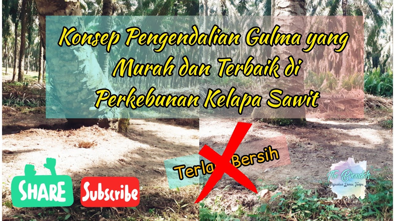 Konsep Pengendalian Gulma Yang Murah dan Efektif