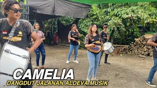 CAMELIA COVER RHIA FT ALDEVA MUSIK