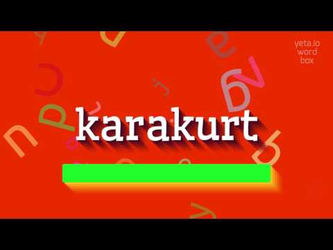 Video: Ano ang hitsura ng karakurt spider? Karakurt bite: ano ang mapanganib, first aid, sintomas at mga tampok ng paggamot