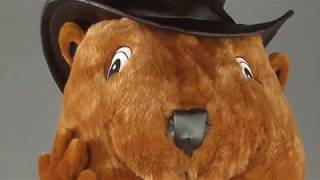 Biber Kostm 135b Maskottchen Produktion Herstellung Walking Act Lauffiguren Hochwertig