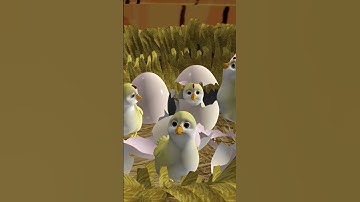 Đàn Gà Con Mới Nở - Nhạc thiếu nhi vui nhộn #thieunhivuinhon #kids #funnykids