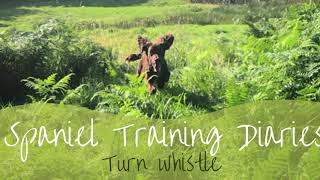 Gundog Training - Developing the turn whistle screenshot 2