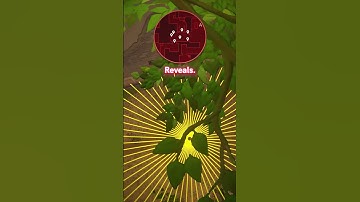 Sova Ninja Recon Tech for "A-Tree" on Ascent!