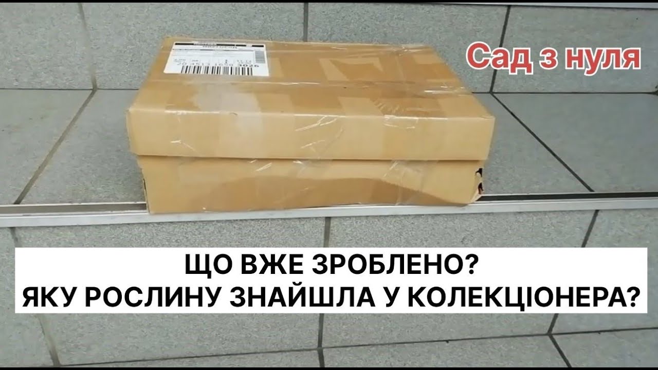 Розпаковка. За якою рослиною ганялася?😍
