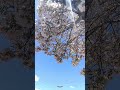 ماذا لو أصبحت مثال ا حق ا وسلكت طريقا أرقى أن تنفع غير ك يوم ا هو خير ذاك وأبقى
