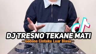 Dj Gedene Cintaku Luar Biasa  Tresno Tekane Mati Ndx Aka  Remix  Bass Viral Tiktok