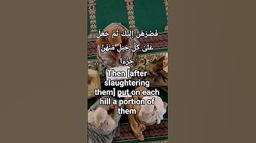 سورة البقرة الاية: 260| Abraham Seeks Reassurance 🌙 تلاوة مؤثرة + English Translation #quran #دعاء