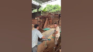 Nghỉ 1 lúc gần 10 người thợ chính #sofago #goquy1000nam #goquy #gonguyenkhoi