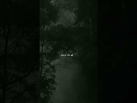 𝐓𝐚𝐧𝐡𝐚𝐢𝐲𝐨𝐧 𝐌𝐞𝐢𝐧 𝐓𝐮𝐣𝐡𝐞 𝐃𝐡𝐨𝐨𝐧𝐝𝐡𝐞 𝐌𝐞𝐫𝐚 𝐃𝐢𝐥