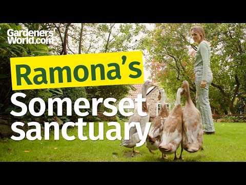 Inside Ramona Jones's Somerset cottage garden | Gardening through trial and error