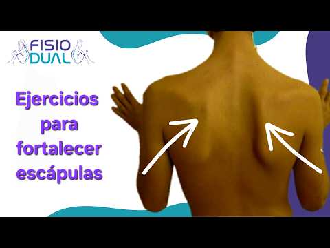 Ejercicios para fortalecer escápulas