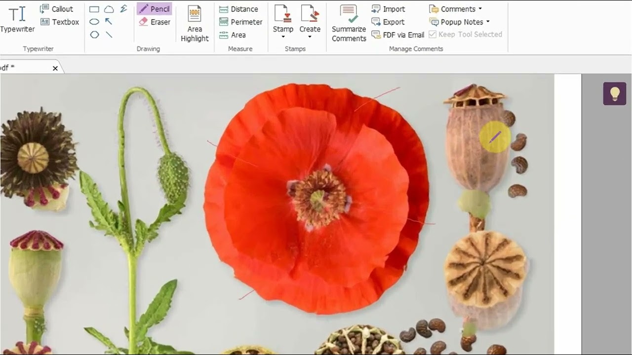 شرح مختصر و مؤقت للفصائل الزهرية المطلوبة