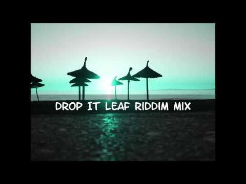 Drop Leaf Riddim Mix 2013