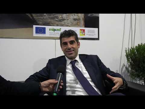 La video-intervista al dott. Alberto Pulizzi