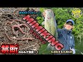 【公式】禁断のみみず解禁！！ MIMIKING(ミミキング) 6.8inch - 8.8inch / 青木大介 プロデュース