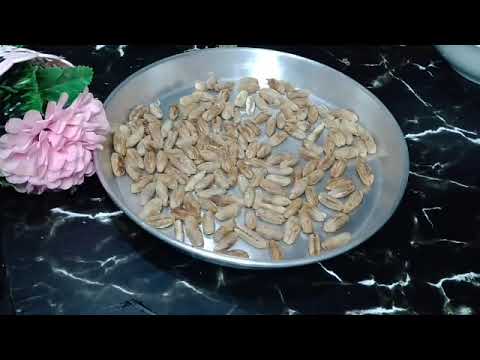 سرخطير قهوة التمر